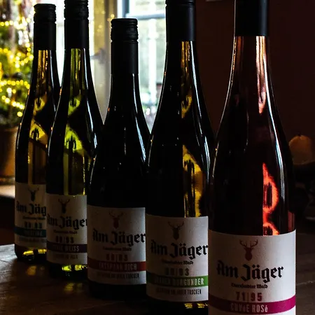 ホテル Waldhotel Am Jaeger