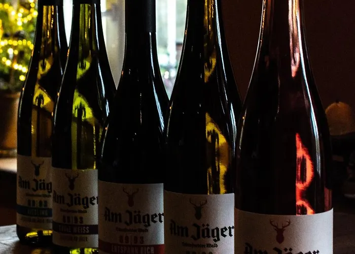 Hotel Waldhotel Am Jaeger